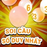 soi-cau-1-so-duy-nhat