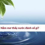 mo-thay-nuoc-danh-so-gi