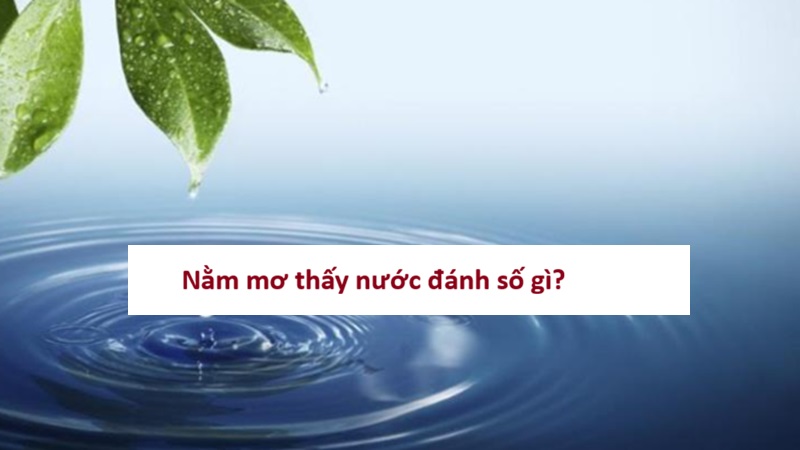 Nằm mơ thấy nước đánh số gì? Giải mã ý nghĩa từng giấc mơ