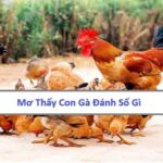 ngu-mo-thay-con-ga-danh-so-gi